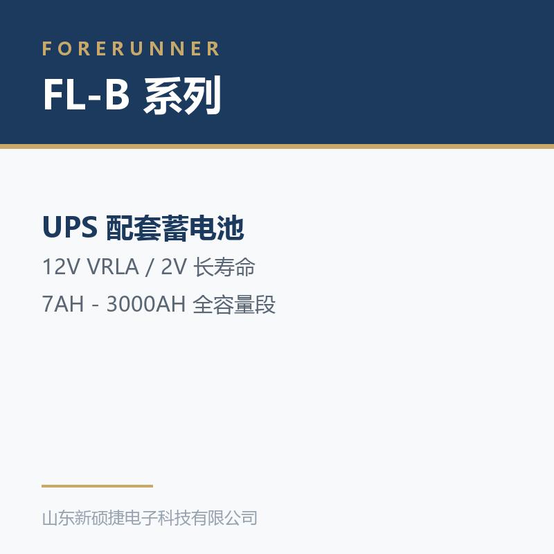FL-B 系列 12V 阀控式铅酸蓄电池(淄博市UPS电源)