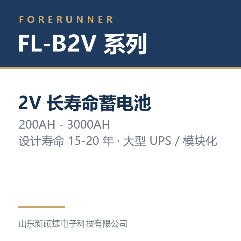 FL-B2V 系列 2V 长寿命蓄电池(淄博市UPS电源)